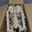 HBSTK 2 Pack 36 Inches Halloween Skeleton Full Body Posable Movable Jonints for Halloween Decoration Dcor, 2 Pack 40Inch Skeleton