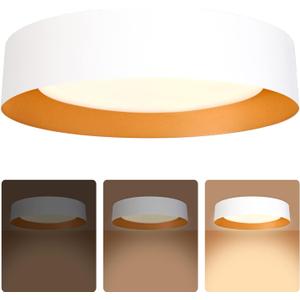 Bargeni 16.5 inch Dimmable LED Flush Mount Ceiling Light, Matte White with Gold Inside, 3000K/Warm White/30W, Modern Light Fixture for Closet and Hallway