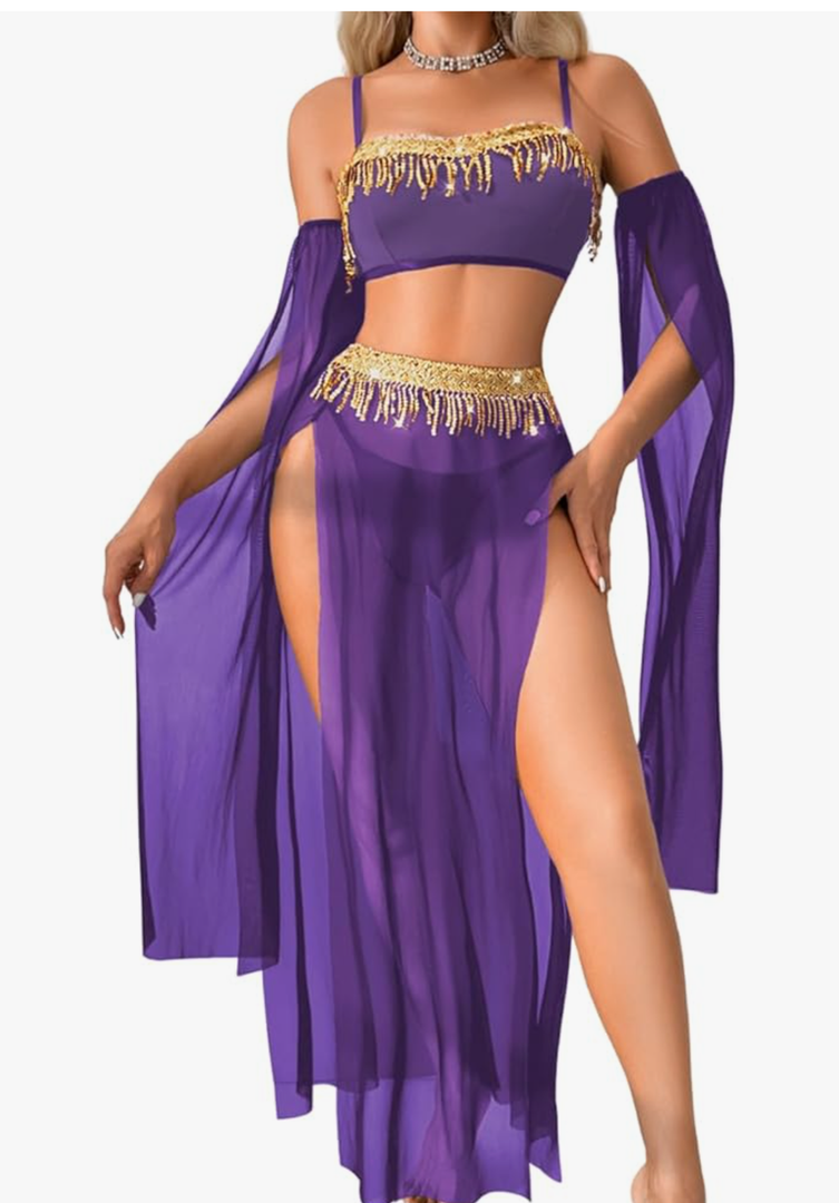 Exotic Wear Dancer Outfits,High Slit Skirt Sexy Lingerie For Women,Belly Dance Costume Cosplay Festival , Extra Large, Purple 