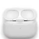 Left and Right AirPods Pro 1st Generation in AirPods Pro 2nd Generation Replacement Case (Incompatible)