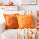2 x AQOTHES 1PCS Pumpkin Fall Orange Throw Pillow Covers 18 x 18 Soft Plush Couch Sofa Pillows Cushion Covers Cases for Autumn Harvest Farmhouse Halloween Home Decorations