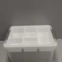 Citylife 17 QT Plastic Storage Box with Removable Tray Craft Organizers and Storage Clear Storage Container for Organizing Bead, Tool, Sewing, Playdoh