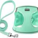 Dog Harness with Leash Set, No Pull Adjustable Reflective Step-in Puppy Pet Vest Harnesses for Small Medium Large Dogs and Cats,Green XS