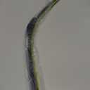 24 inch + 17 inch Windshield Wiper Blades Compatible with TOYOTA RAV4 2012-2006,Avalon 2004-2000,Prius 2003-2001 Original Equipment Automotive Replacement J/U Hook Front Blades 2 Pack