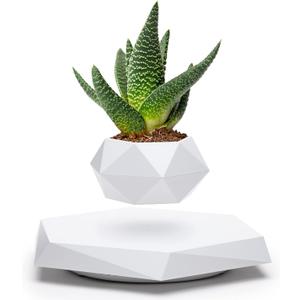 BandDlevs Floating Pots for Plants - Levitating Pot - Levitating Planter for Bonsai, Succulents, Air Plants - Floating Magnetic Display for Home Office Desks - Magnetic Levitation Plant Holder (White)