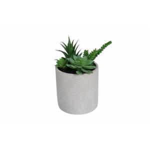 HD Deisigns Faux Succulent Greenery, 6-inch Pot