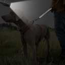 8 x Dog Leash, Short Dog Leash, Leashes for Large Breed Dogs,Traffic Padded Handle- Reflective Training Lead, Perfect for Medium to Large Dogs(12 Inch, Blue)