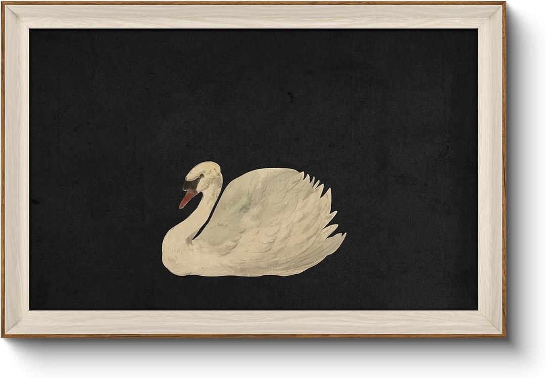 VIYYIEA Framed Wall Art for Living Room, Swan Art Canvas Prints, Vintage Home Decor, Animals Painting Picture, Bathroom Wall Decor Gifts for Friends or Family - 36L x 24W