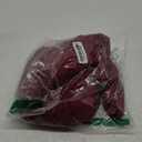 EYNMIN Women's Sleeveless Bodycon Corset Maxi Dress Spaghetti Strap Ruched Elegant Evening Wedding Guest Long Formal Dresses (Red)