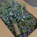 Yunlly 2 Set Artificial Boxwood Topiary Ball Tree 23.6" UV Resistant Artificial Outdoor Greenery Shrubs with Spike Topiary Ball Tree with Flower for Garden Yard Porch Patio Front Door Decor(Purple)