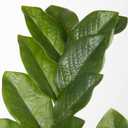 Briful Faux Plants Indoor 17" Artificial ZZ Plants in Ceramic Pot Fake Potted Zamioculcas Silk Plants for Home Table Decor Bedroom Aesthetic (1Pack)