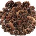 Jangostor 60 Pine Cones Decorations - Natural Bulk Package, Large Medium & Mini Sizes - Rustic Pine Cone Ornaments for Table, Christmas Tree, Crafts, Gifts, Thanksgiving, Xmas Home Decor