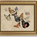 ARPEOTCY Vintage Gold Framed Wall Art, Classical Flying Butterflies Paintings, 8x10 inch Small Aesthetic Canvas Prints Artwork with Frame, Victorian Wall Decor for Living Room Bathroom Bedroom Shelf