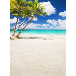 Allenjoy Tropical Seaside Beach Backdrop Summer Hawaii Island Palm Trees Photography Background for Boys Girls Portrait Holiday Travel Happy Birthday Party Dceor Banner 6x8ft Photo Booth Props