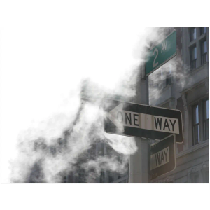 Trademark Art One Way Canvas Art by Yale Gurney, 18 by 24-Inch