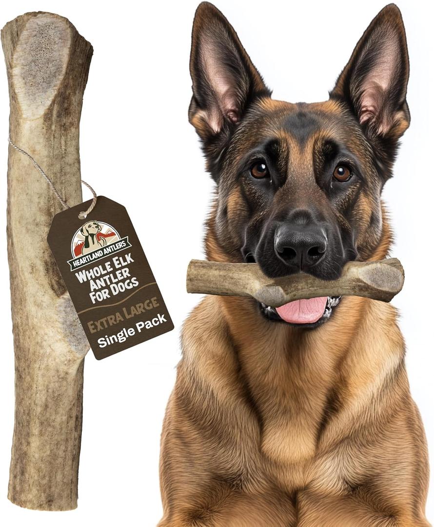 Heartland Elk Antlers for Dogs - Daily Dental Care Chews for Aggressive Chewers to Reduce Plaque & Prevent Destructive Behavior (Splinter Free, Whole, 8+", X-Large, 1-Pack, Grade A, USA Made)