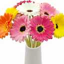 15 Pcs Artificial Gebera Daisies Flowers Fake Daisy Real Touch PU Faux Flowers Bouquet for Indoor Home Arrangements Vase Wedding Party Table Centerpiece DIY Floral Decor