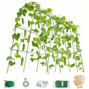 Cucumber Trellis for Raised Beds - Sturdy Arch Trellis for Peas, Beans & Climbing Plants | Outdoor Vegetable Support, Garden Trellis Kit (63" Lx30 Wx48 H)