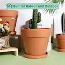 vensovo 8 Inch Clay Pot for Plant with Saucer - 2 Pack Large Terra Cotta Plant Pot with Drainage Hole, Clay Planters Pot, Terracotta Pot for Indoor Outdoor Plant, 8 Inch-2pcs