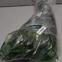 20Pcs Italian Ruscus Greenery Stems 18" Artificial Silk Greenery Leaves for DIY Bouquet Filler Table Centerpieces Home Indoor Decor