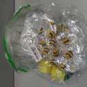 Hosuly 50 Pcs Bee Clear Plastic Gift Bags with Handles Honey Bee Goodie Treat Bags for Birthday Party Favors Candy Snack Baby Shower Gender Reveal Decoration, 7.87 X 7.87 x 3.15 inches