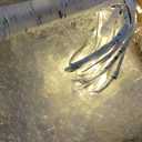 iBaycon 4FT 6FT and 8FT Birch Trees, Set of 3 Lighted Birch Tree LED Artificial Tree with 8 Modes Timer, Prelit Light Up Trees for Indoor and Outdoor Party Holiday Christmas Decorations (Warm White)