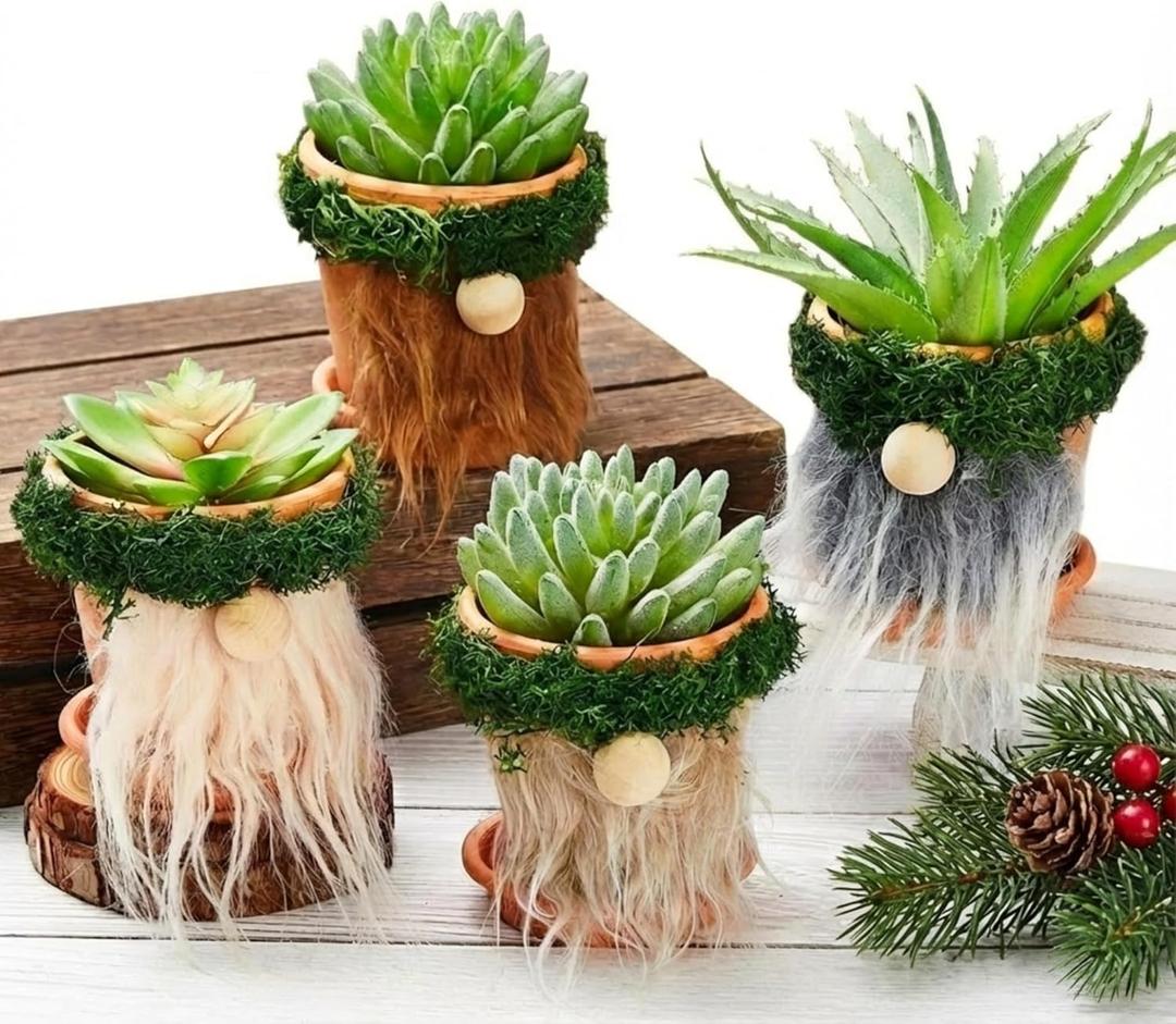 Taiyin 4 Pcs Gnomes Succulent Planter Bulk Garden Pots Outdoor Flower Pot Cactus Plush Tray Cute Spring Gnome Gifts Home Farmhouse Decorations for Yard
