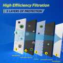 Cabin Air Filter Fits 2023 Hornet, 2016-2023 500X, 2014-2020 500L, 2017-2022 Compass, 2015-2023 Renegade, Replacement for CF11810