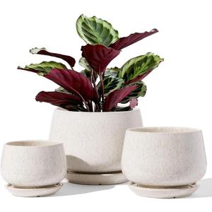 LE TAUCI Plant Pots, 4.1+5.1+6.5 inch, Set of 3, Ceramic Planters with Drainage Hole and Saucer, Indoor Flower Pot with Hole Mesh Pad, Gifts for Mom, Reactive Glaze Beige