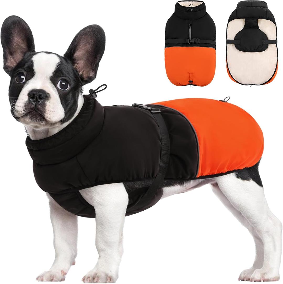 KOESON Small Dog Coat, Warm Dog Winter Jacket with Adjustable Buckle, Turtleneck Dog Jacket Fleece Dog Winter Coats for Cold Weather, Reflective Dog Coats Dog Snow Jacket for Small Dogs Orange S (Small, Orange)
