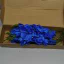 Riyuwal 12PCS Artificial Gladiolus Flowers 22.44in Silk Gladiolus Fake Flowers for DIY Bouquet Centerpieces Wedding Fillers Arrangements Shower Decorations(Royal Blue)