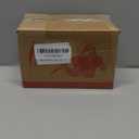 Brazilian Wood Plant,Mini Brazil Lucky Wood,Ceramic Tray Lucky Tree,with Panda Statues,Swelling The Stage of About to Sprout,Brazilian Tree Perfect for Home,Office Desktop Decoration (Panda Statue)