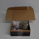 Peerless PTT14265-BN Elmhurst Trim kit Shower Only, Without Tub Spout, Brushed Nickel