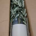 Timoo Faux Olive Tree Olive Trees Artificial Indoor with White Planter (5 FT)