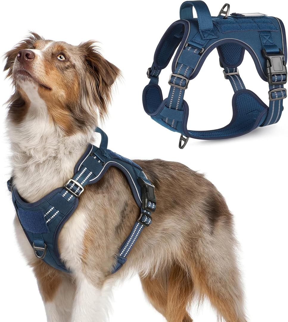 rabbitgoo Tactical Dog Harness Medium Sized Dog, No Pull Military Service Vest with Handle & Molle, Easy Control for Training Walking, Adjustable Reflective Straps, Blue, M