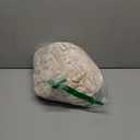 H.VERSAILTEX Wingback Chair Covers Velvet Plush Wing Chair Slipcover 1 Piece High Stretch Wing Back Chair Slipcovers Sofa Cover Furniture Cover with Elastic Bottom, Cream