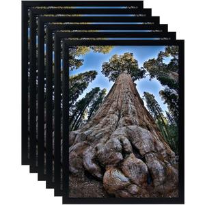 13x19 Picture Frame Black Poster Frames Display for Wall, Set of 6
