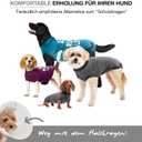 BellyGuard Dog Surgery Recovery Suit, Dog Onesie for Post-Op Care, Recovery Apparel for Female and Male, Surgical Body Cover for Canine Healing Support