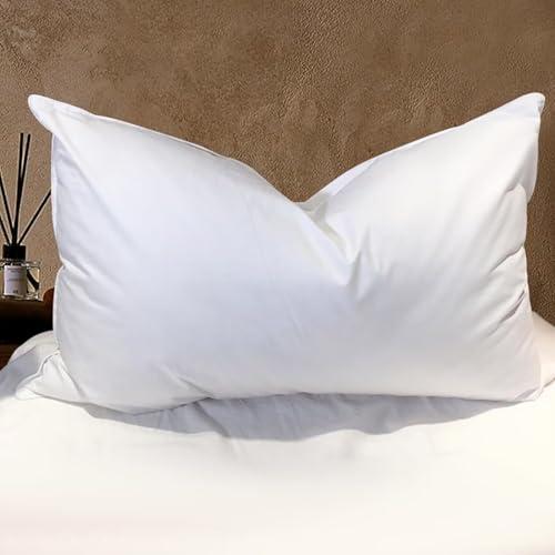 BHZ Goose Down Feather Pillows Queen Size - Hotel Collection Bed Pillows for Sleeping Soft Pillow for Side and Back Sleepers with 100% Cotton Fabric