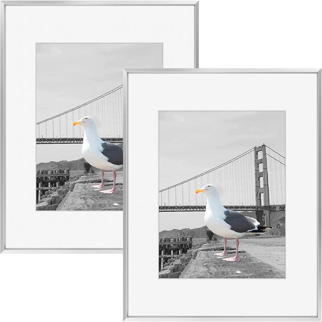 Frametory, 16x20 Metal Picture Frame with Mat for 11x14 Picture & Real Glass, Aluminum Photo Frame Collection (Silver, 2 Pack)