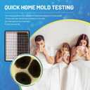 Mold Test Kit for Home,7 Simple Detection Tests, Test HVAC System, Home Surfaces, Indoor Air Quality Testing, DIY Mold Detector for Home, Includes Detailed Mold Identification Guide, Black Mold Testing Kit