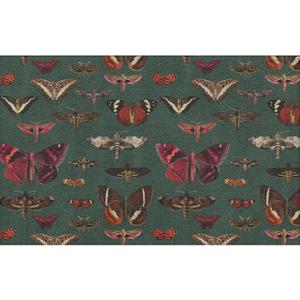 Dark Green Butterfly Door Mat, Vintage Moth Doormat Outdoor Indoor Entrance Porch, Antique Butterfly Outdoor Mat, Nature Insect Welcome Mats for Front Door, 17x30 Inch