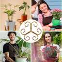 Iron Plant Stem Support, 4Pcs Reusable Sturdy Plant Supports for Indoor Plants Lightweight Plants Accessories Indoor for Bamboo Multi-Stemmed Flowers Thriving Growth