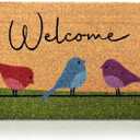 Colorful Birds - 24"x36" - Coir Door Mat with Heavy Duty Backing - Welcome Mats for Entryway, Porch - Anti-Slip PVC & Coconut Fiber Surface - Natural Home Accessories, Minimalist Original Design