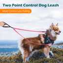 PetBonus Two Point Control Dog Leash, Works with No Pull Harnesses, No Tangle Training Leashes, Soft Padded and Reflective Walking Lead, Converts to Single Lead for Medium Large Dogs (Pink), 4 Feet