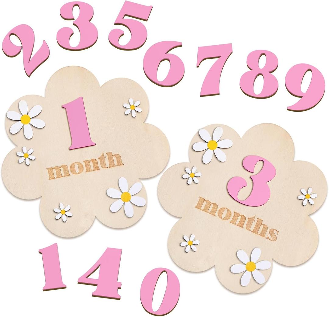 3D Wooden Daisy Baby Monthly Milestone Sign Cards 1-12 Months Interchangeable Monthly Milestone Wood Discs Announcement Sign for Baby Shower Newborn Photo Props Gifts(Pink)