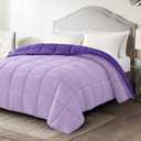 Homelike Moment Comforters Queen Size - Purple Duvet Insert Down Alternative Bed Queen Comforter, Lightweight Bedding Comforter Full Size Quilted Soft All Season Reversible Plum/Light Purple