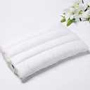 Pillows 2 Pack 17x25