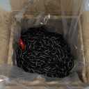 Heavy Duty G80 Transport Binder Chain 1/4'' Inch x 20 Feet,Tow Chain with G70 Clevis Grab Hooks,3300 lbs Safe Working Load Logging for Transporting, Towing(1/4'' x 20FT Black)-2 Packs.