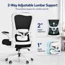 Ergonomic Office Chair for Lower Back Relief, 4-Way Lumbar, 330 LBS, Medium